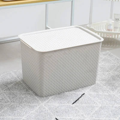Gambar Informa Gav Kotak Penyimpanan Dengan Tutup 40.5x7x25.5 cm - Krem