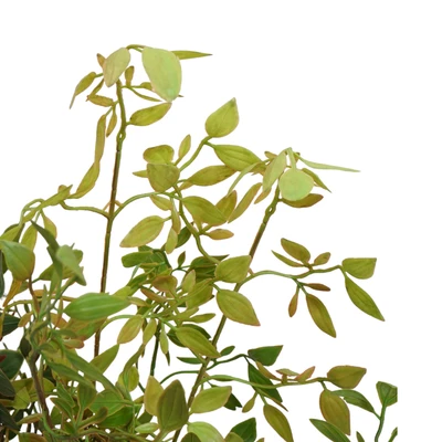 Gambar Informa Tanaman Artifisial Nandina Leaf 50x50x106 cm - Hijau