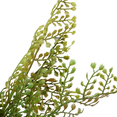 Gambar Informa Tanaman Artifisial Cypress Leaf 50x50x100 cm - Hijau