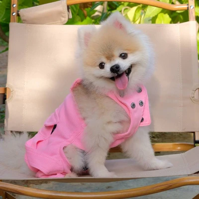 Gambar Doggy Dolly Ukuran S Baju Tank Jumper Anjing - Pink