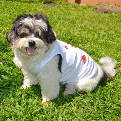 Gambar Doggy Dolly Ukuran XL Baju Tank Anjing Fruit - Putih