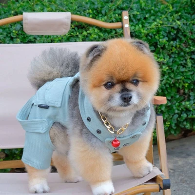 Gambar Doggy Dolly Ukuran S Baju Tank Jumper Anjing - Hijau