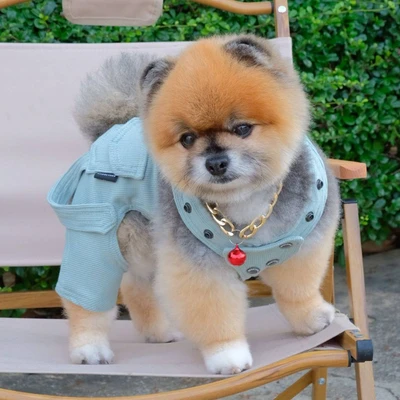 Gambar Doggy Dolly Ukuran M Baju Tank Jumper Anjing - Hijau
