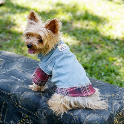 Gambar Doggy Dolly Ukuran XL Baju Jaket Denim Anjing