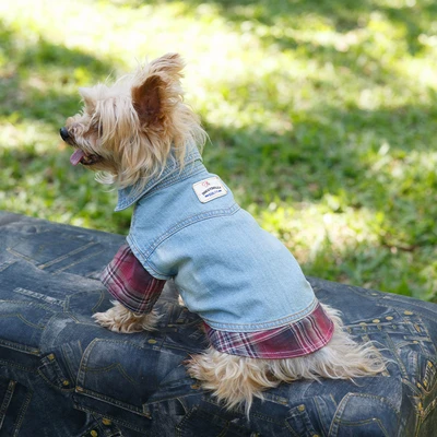 Gambar Doggy Dolly Ukuran XL Baju Jaket Denim Anjing