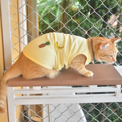 Gambar Doggy Dolly Ukuran M Baju Tank Anjing Fruit - Kuning