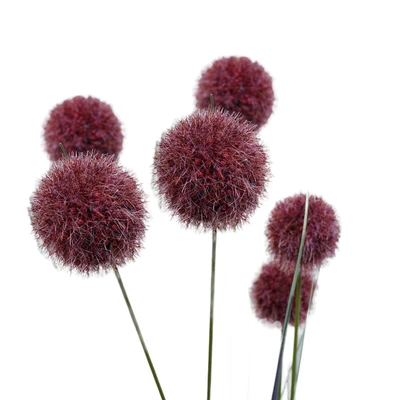 Gambar Informa Tanaman Artifisial Pom Pom Dengan Pot 24x24x91 cm - Ungu