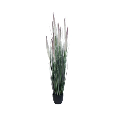 Gambar Informa Tanaman Artifisial Foxtail Grass Dengan Pot 30x30x152 cm - Ungu