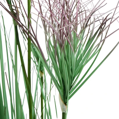 Gambar Informa Tanaman Artifisial Pepyrus Grass Dengan Pot 30x30x183 cm - Ungu