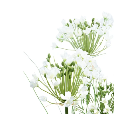 Gambar Informa Bunga Artifisial Agapanthus Dengan Pot 139x28x28 cm - Putih