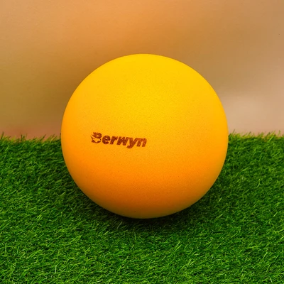 Gambar Berwyn 18 cm Bola Silence Pu Foam - Kuning