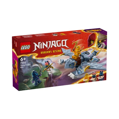Gambar LEGO Ninjago Young Dragon Riyu 71810