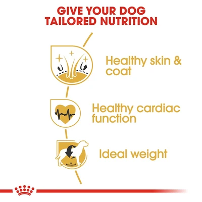Gambar Royal Canin Makanan Anjing Kering Adult Golden Retriever 3 kg