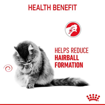 Gambar Royal Canin 400 Gr Makanan Kucing Kering Hairball Care