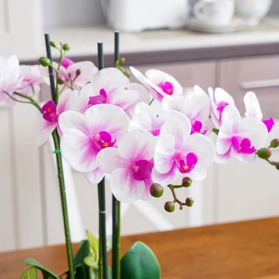 Gambar Arthome Bunga Artifisial Orchid 3 Tangkai Dengan Pot 40.6x40.6x53.3 cm - Pink/Krem