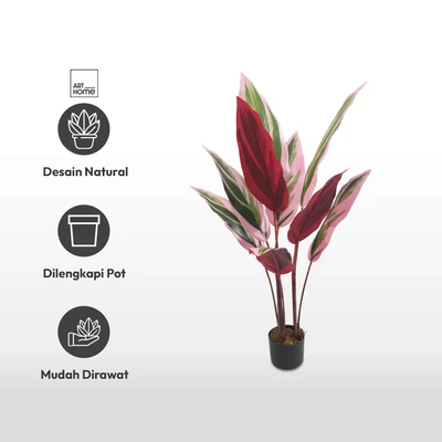 Gambar Arthome Tanaman Artifisial Stromanthe Thalia Dengan Pot 55x45x120 cm - Pink