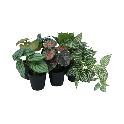 Gambar Arthome Tanaman Artifisial Leaf Dengan Pot Random 12.7x12.7x15.9 cm - Hijau
