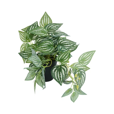 Gambar Arthome Tanaman Artifisial Leaf Dengan Pot Random 12.7x12.7x15.9 cm - Hijau