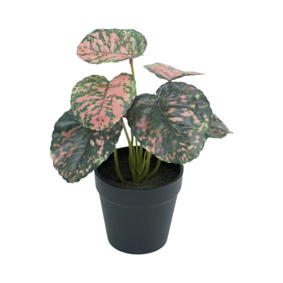 Gambar Arthome Tanaman Artifisial Leaf Dengan Pot Random 12.7x12.7x15.9 cm - Hijau