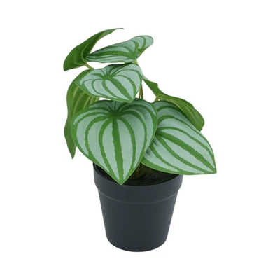 Gambar Arthome Tanaman Artifisial Leaf Dengan Pot Random 12.7x12.7x15.9 cm - Hijau