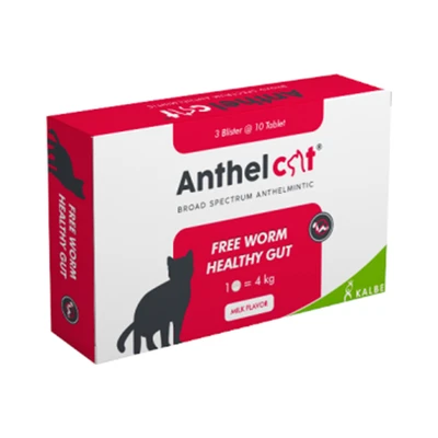 Gambar Anthel Obat Cacing Kucing