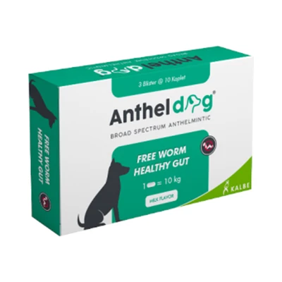 Gambar Anthel Obat Cacing Anjing