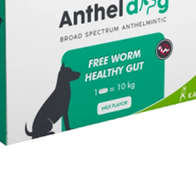 Gambar Anthel Obat Cacing Anjing