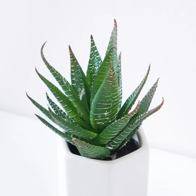Gambar Arthome Tanaman Artifisial Aloe Dengan Pot Keramik 12.7x12.7x17.8 cm - Hijau