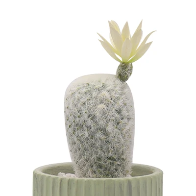 Gambar Arthome Tanaman Artifisial Cactus Dengan Pot 10.2x10.2x21.6 cm - Hijau