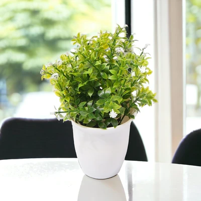 Gambar Arthome Bunga Artifisial Grass Star Dengan Pot 9x9x22 cm - Putih