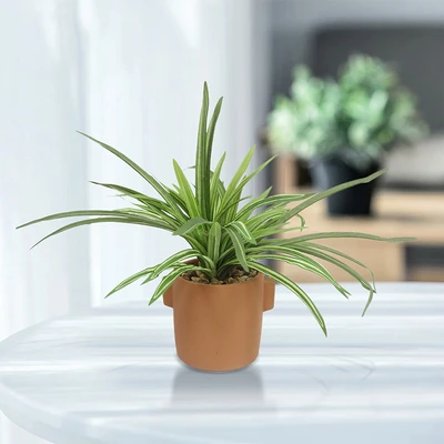 Gambar Forhom Tanaman Artifisial Cymbidium Dengan Pot Tera 38.1x38.1x25.4 cm - Hijau