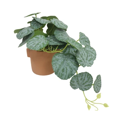 Gambar Forhom Tanaman Artifisial Senorila Dengan Pot 38x20.3x26 cm - Hijau