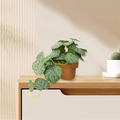 Gambar Forhom Tanaman Artifisial Senorila Dengan Pot 38x20.3x26 cm - Hijau