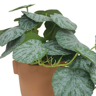 Gambar Forhom Tanaman Artifisial Senorila Dengan Pot 38x20.3x26 cm - Hijau