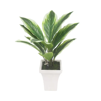 Gambar Forhom Tanaman Artifisial Calathea White Dengan Pot 53.3x53.3x43.2 cm - Hijau