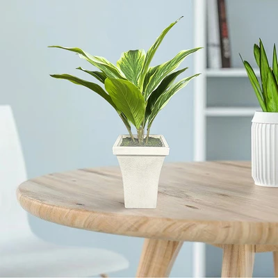 Gambar Forhom Tanaman Artifisial Calathea White Dengan Pot 53.3x53.3x43.2 cm - Hijau
