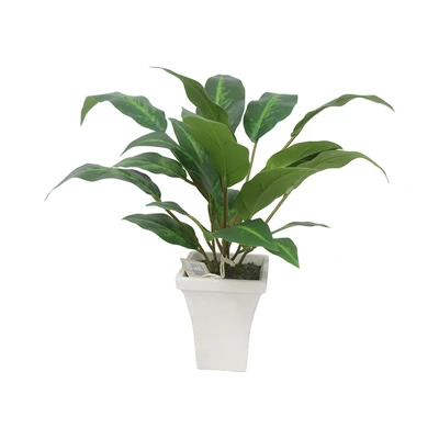 Gambar Forhom Tanaman Artifisial Dieffenbachia Dengan Pot 53.3x53.3x43.2 cm - Hijau