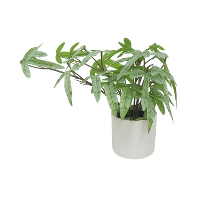 Gambar Forhom Tanaman Artifisial Ribbon Fern Dengan Pot Keramik 20.3x20.3x24.1 cm - Hijau
