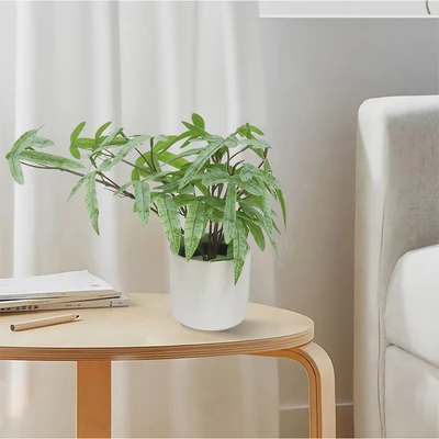 Gambar Forhom Tanaman Artifisial Ribbon Fern Dengan Pot Keramik 20.3x20.3x24.1 cm - Hijau