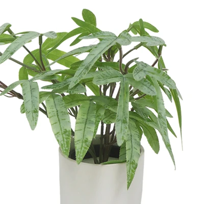 Gambar Forhom Tanaman Artifisial Ribbon Fern Dengan Pot Keramik 20.3x20.3x24.1 cm - Hijau
