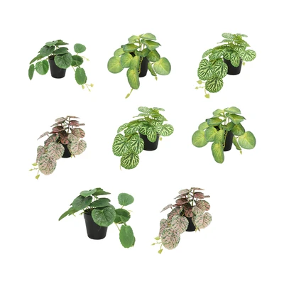 Gambar Forhom Tanaman Artifisial Begonia Dengan Pot 25.4x15.2x15.2 cm Random