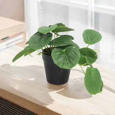 Gambar Forhom Tanaman Artifisial Begonia Dengan Pot 25.4x15.2x15.2 cm Random