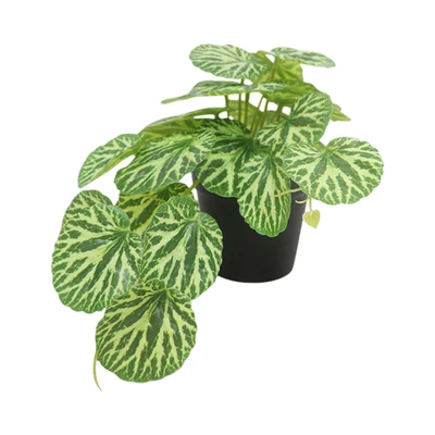 Gambar Forhom Tanaman Artifisial Begonia Dengan Pot 25.4x15.2x15.2 cm Random