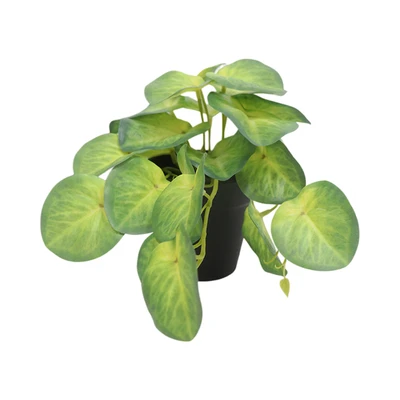 Gambar Forhom Tanaman Artifisial Begonia Dengan Pot 25.4x15.2x15.2 cm Random