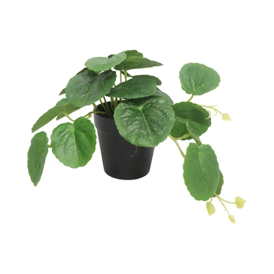 Gambar Forhom Tanaman Artifisial Begonia Dengan Pot 25.4x15.2x15.2 cm Random