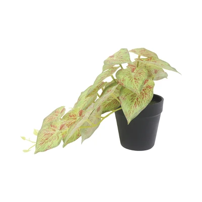 Gambar Forhom Tanaman Artifisial Mta Leaves Dengan Pot 22.9x17.8x16.5 cm Random