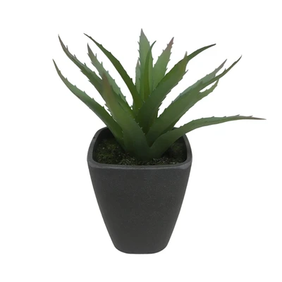 Gambar Forhom Tanaman Artifisial Agave Dengan Pot 11x11x16.5 cm Random