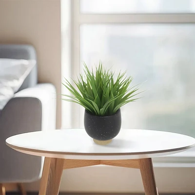 Gambar Forhom Tanaman Artifisial Aquatic Grass Dengan Pot Keramik - Hitam