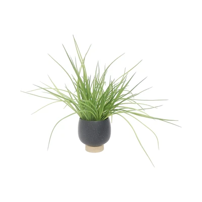 Gambar Forhom Tanaman Artifisial Spring Grass Dengan Pot Keramik - Hitam