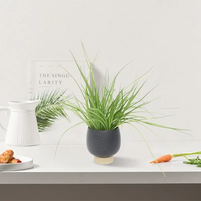 Gambar Forhom Tanaman Artifisial Spring Grass Dengan Pot Keramik - Hitam